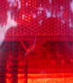 Kliknij aby powiększyć